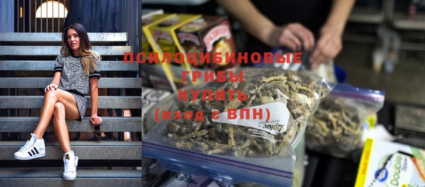 PSILOCYBIN Армянск