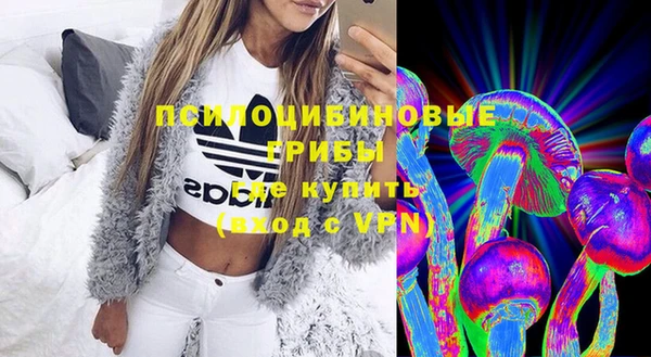 PSILOCYBIN Армянск