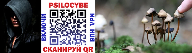 Псилоцибиновые грибы Magic Shrooms  ОМГ ОМГ как войти  Мантурово  купить наркотики цена 